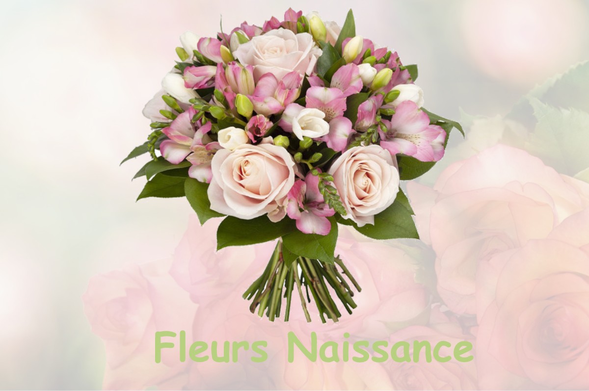 fleurs naissance TOULX-SAINTE-CROIX