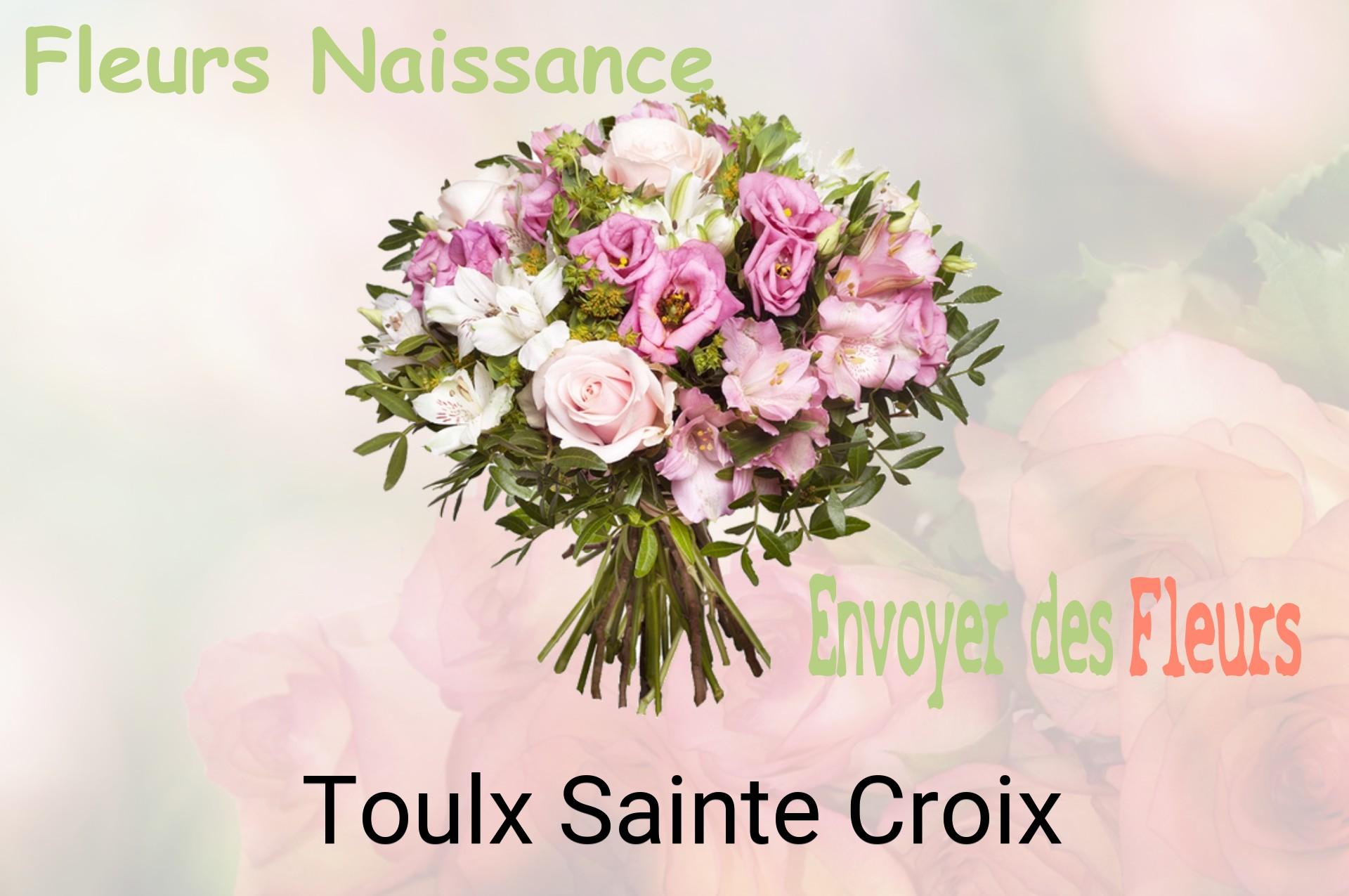 Bouquet de fleurs de naissance livré à Toulx-Sainte-Croix