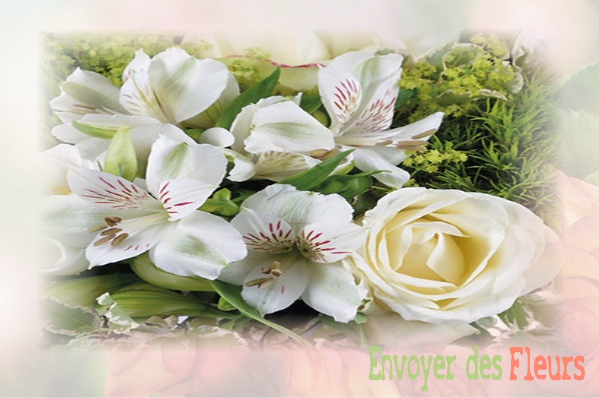 envoyer des fleurs à à TOULX-SAINTE-CROIX