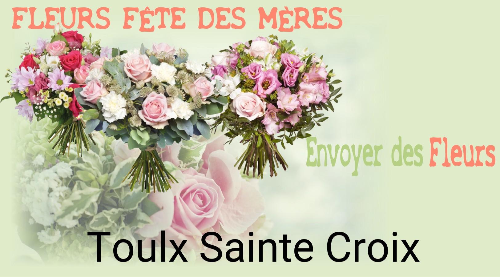 Bouquet de Fête des Mères livré à Toulx-Sainte-Croix